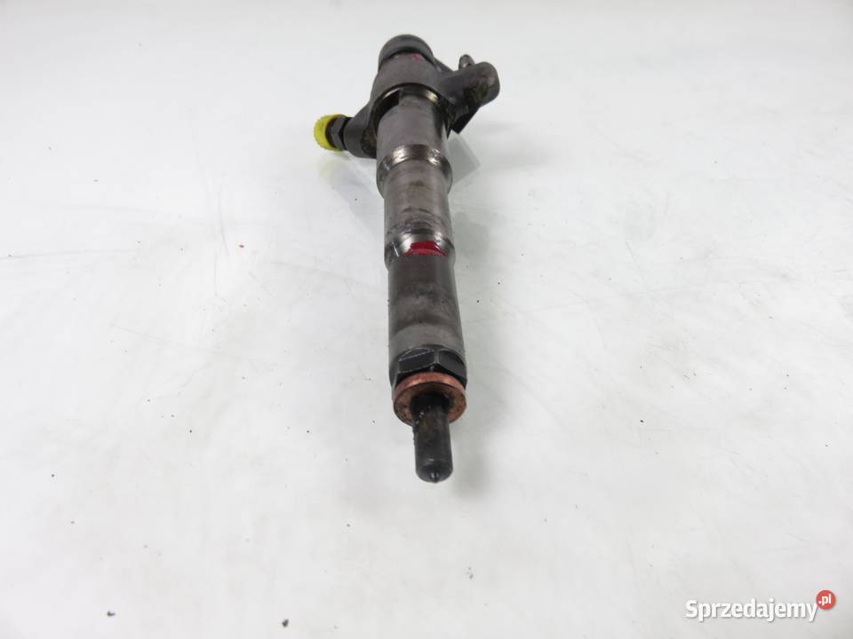 WTRYSKIWACZ RENAULT MASTER III 23 dCi 166000372R