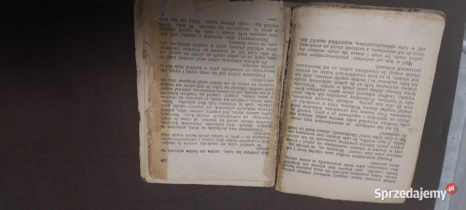 Robinzon Amerykański