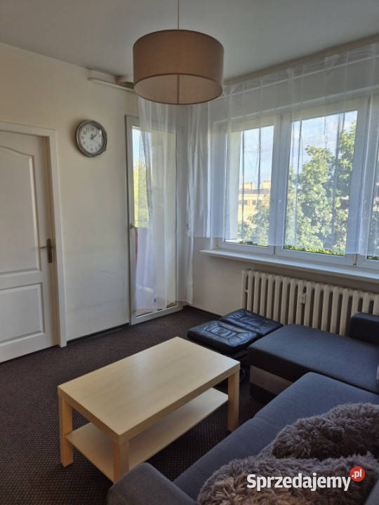 Wynajmę mieszkanie studentów znajomych 3 64m2 Poznań
