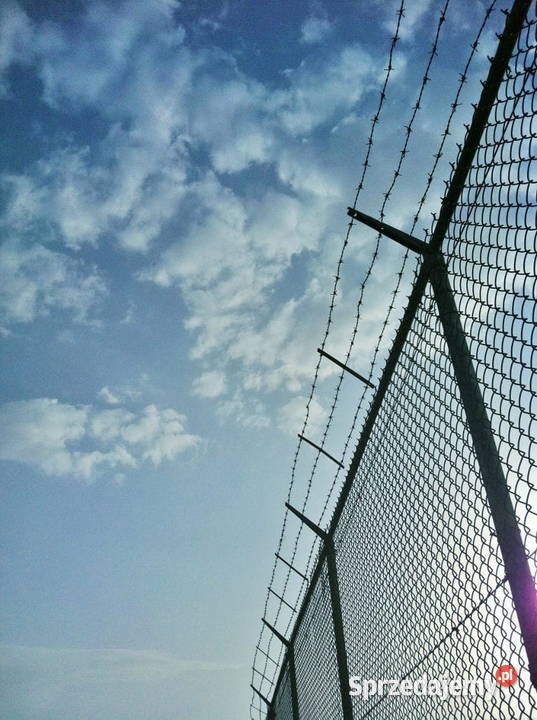 Drut kolczasty 17 mm rolka 250 m dwużyłowy Szczecin