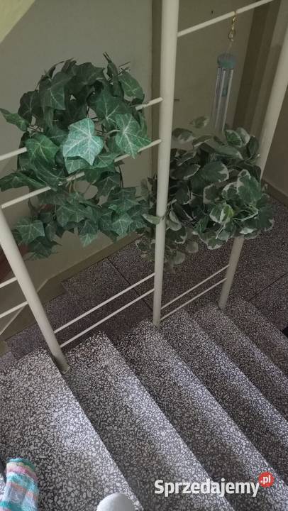 dom 2zł/m2 Gomunice