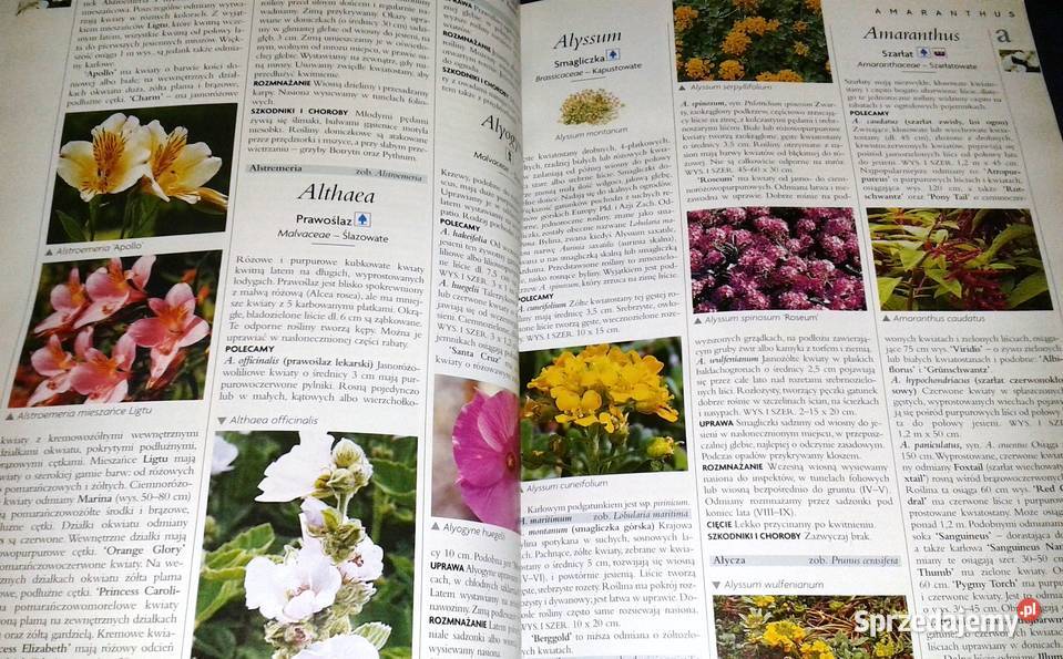 Ilustrowana encyklopedia roślin Dom balkon taras Chełm sprzedam