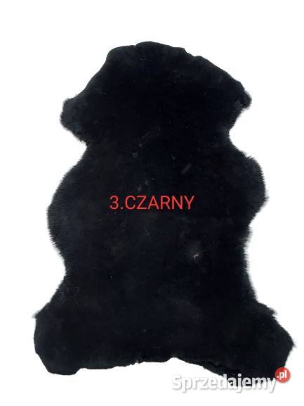 Australijska Skóra Owcza Naturalna Krótki Włos 6 Dywany Szaflary sprzedam