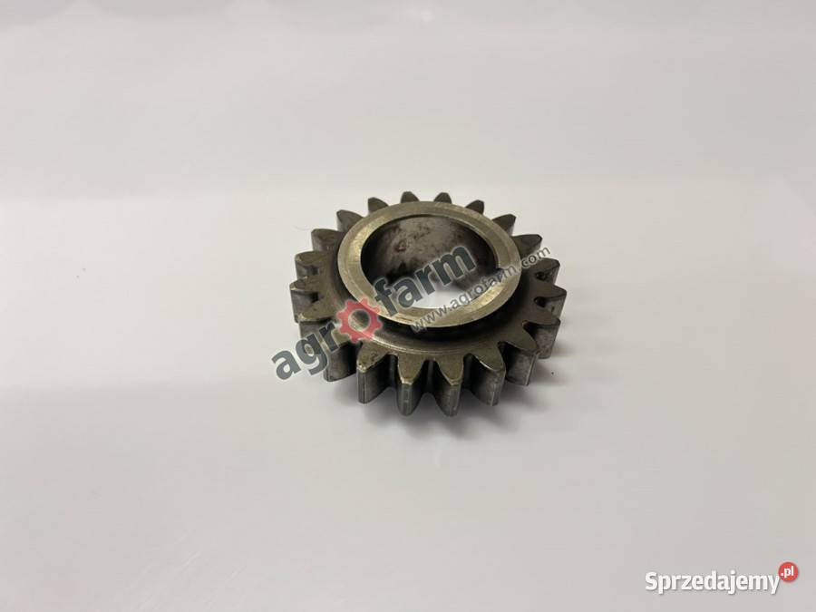 Koło zębate Z20 Same Centauro 70 75 55 Byków sprzedam