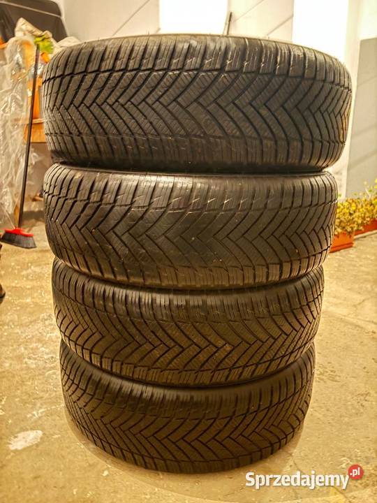 Opony caloroczne Imperial 2156017