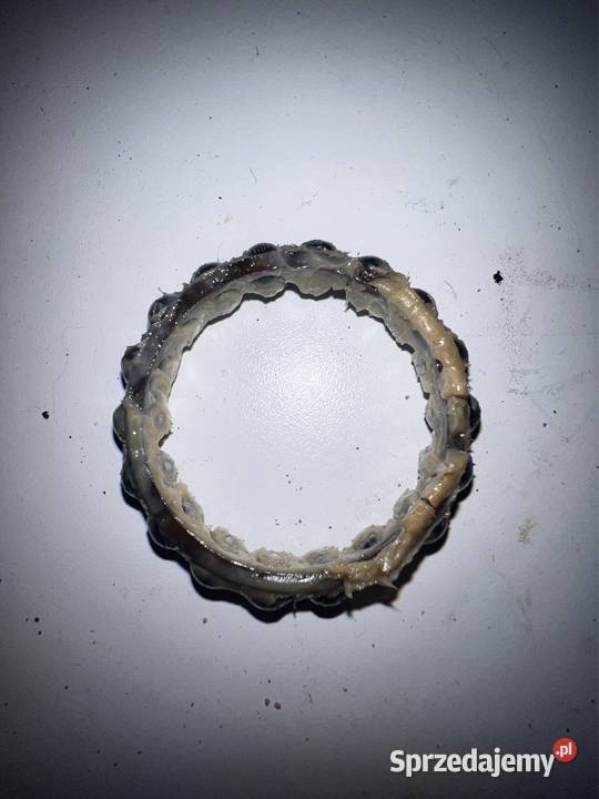 Łożysko dolne główki ramy BMW F900r k83 2024 Ostrzeszów sprzedam