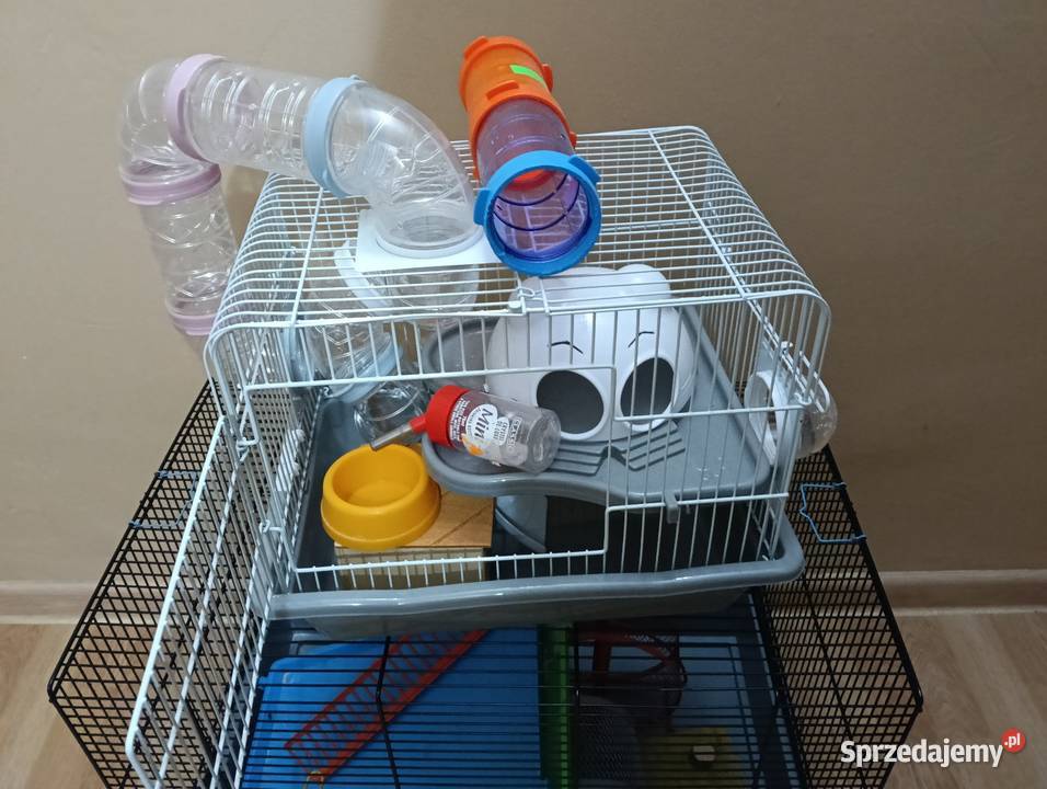 Klatki 3 sztuki gryzoni Dla gryzoni Dla gryzoni Koszalin