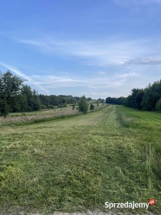 Usługi kosiarką bijakową Karczowanie i usuwanie drzew Kielce