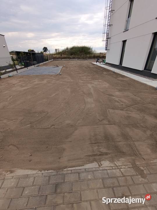 Glebogryzarka wynajem usługi traktor Sosnowiec