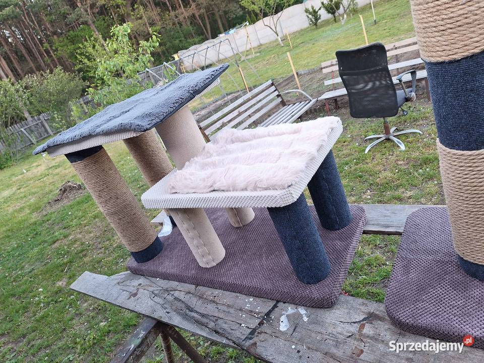 Drapak kota XL łódzkie Wieruszów