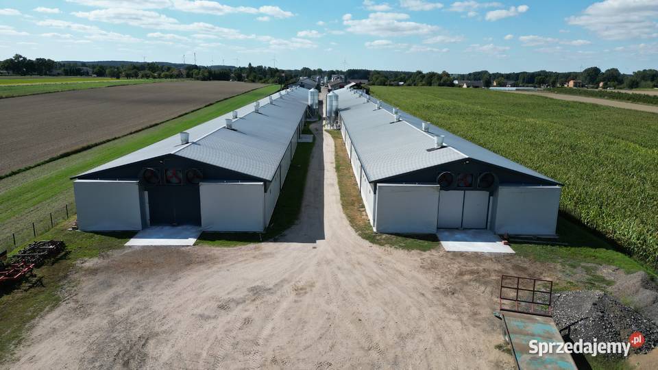 Usługi nagrywania dronem Spider Records 4K 60fps Koluszki