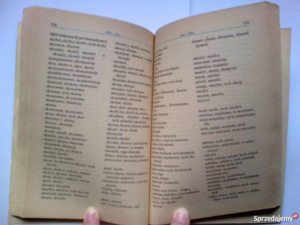 Słowniczek ortograficzny z zasadami pisowni kompendium, repetytorium, opracowanie opolskie Głuchołazy