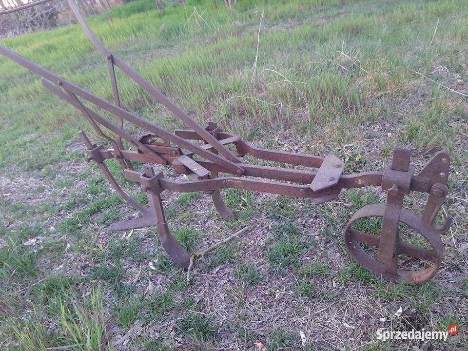 Pielnikobsypnik konny Zgierz