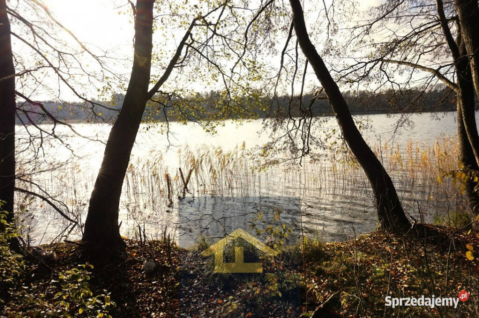 Działka z linią brzegową jeziora 160m Sprzedaż Ruś Mała