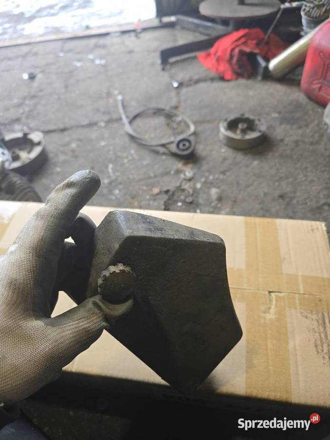 Boczek komar Gorzów Wielkopolski