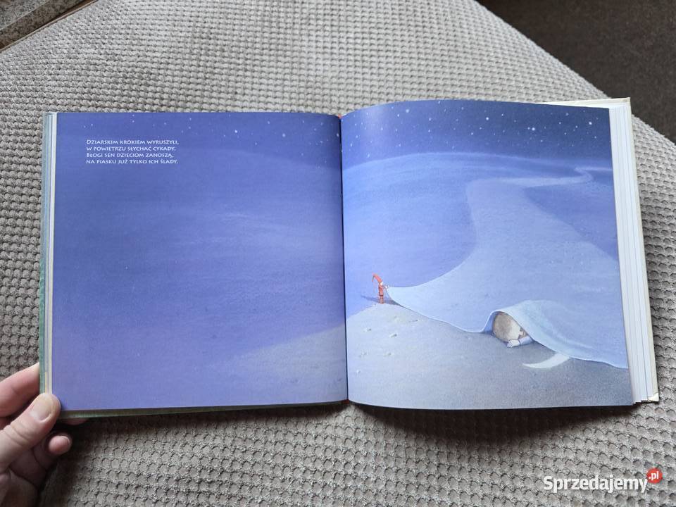 książka z płytą CD nocy i sza twarda małopolskie