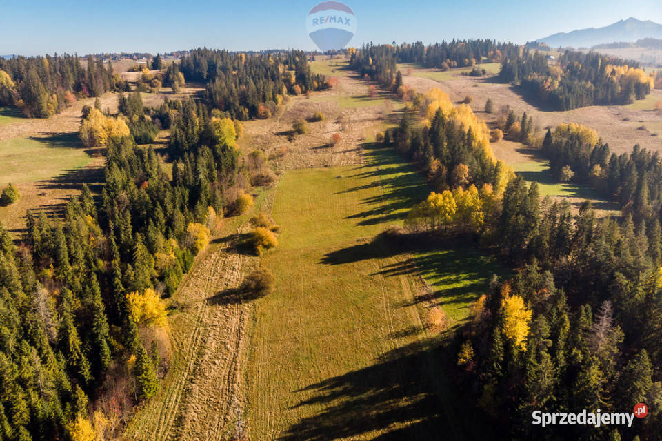Działka w Białym Dunajcu Gile 43m Nieruchomości małopolskie Biały Dunajec