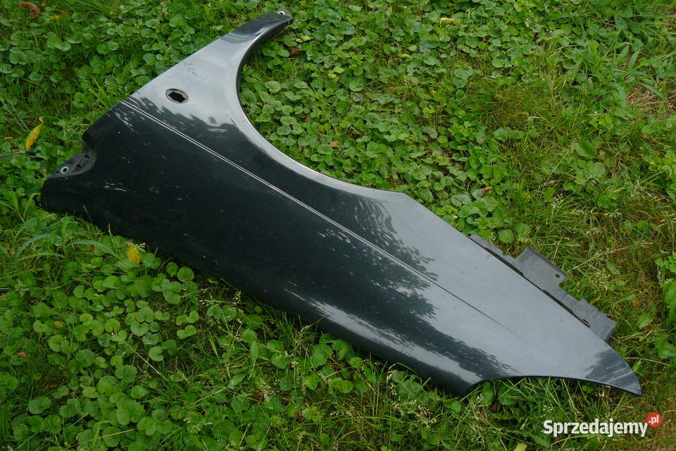 Citroen C5 przedni lewy blotnik Rzeszów