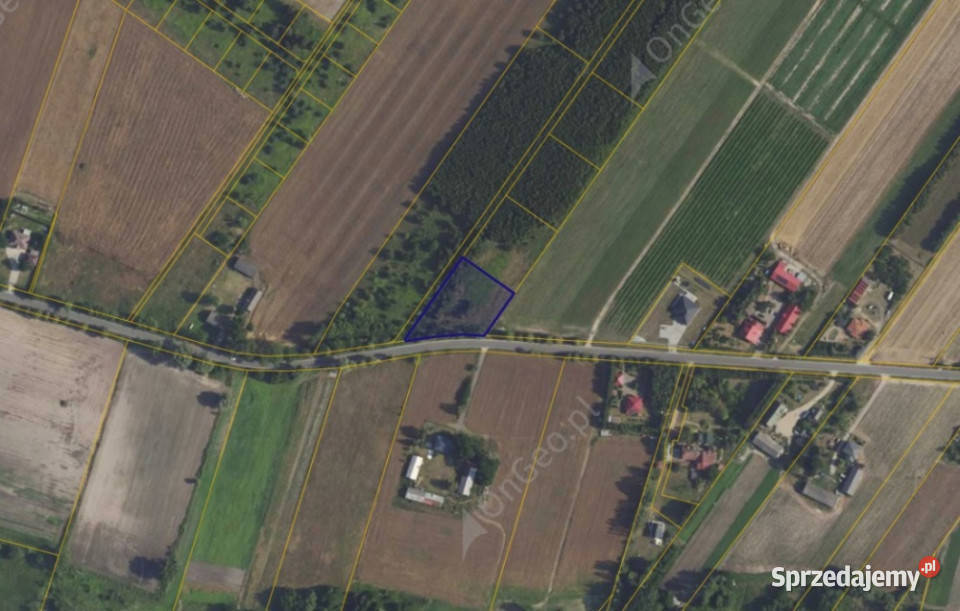 Działka 8911 w miejscowości Kamienica