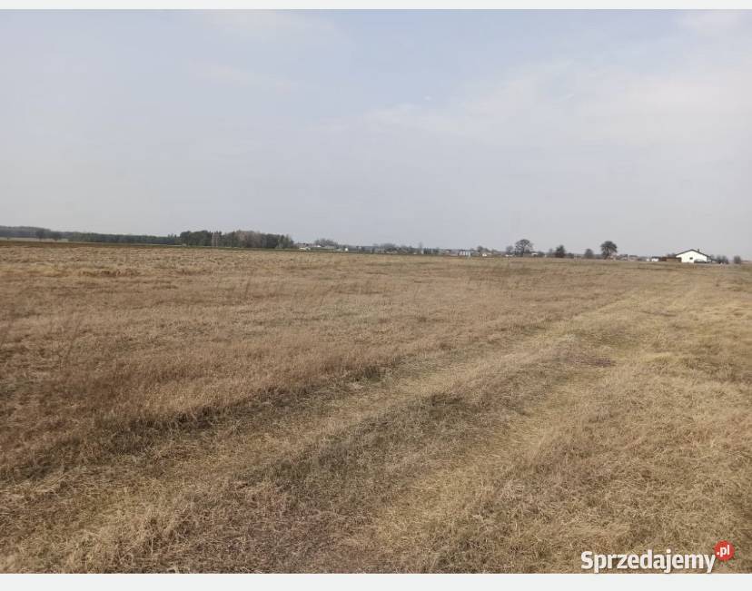 Działka ponad 3000 metrów 20 min Radomia 150m mazowieckie Słupica