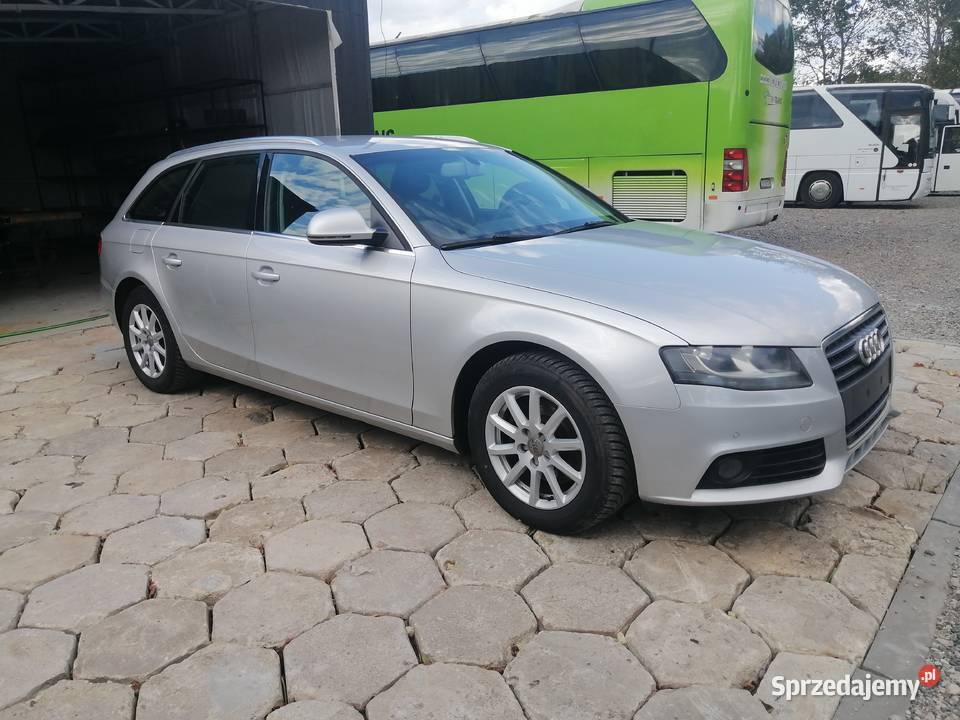 B 8 Skóra Navi Kamera Terespol