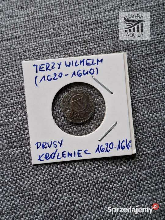 Szeląg Jerzy Wilhelm Hohenzollern 1628 Gdańsk sprzedam