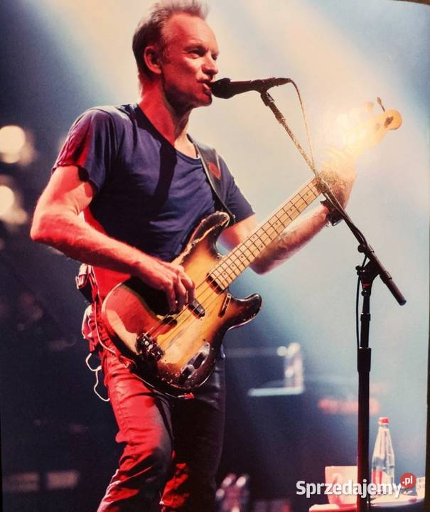 CD Nowa Nowy Najlepszy Album STINGa Album 1 płyta