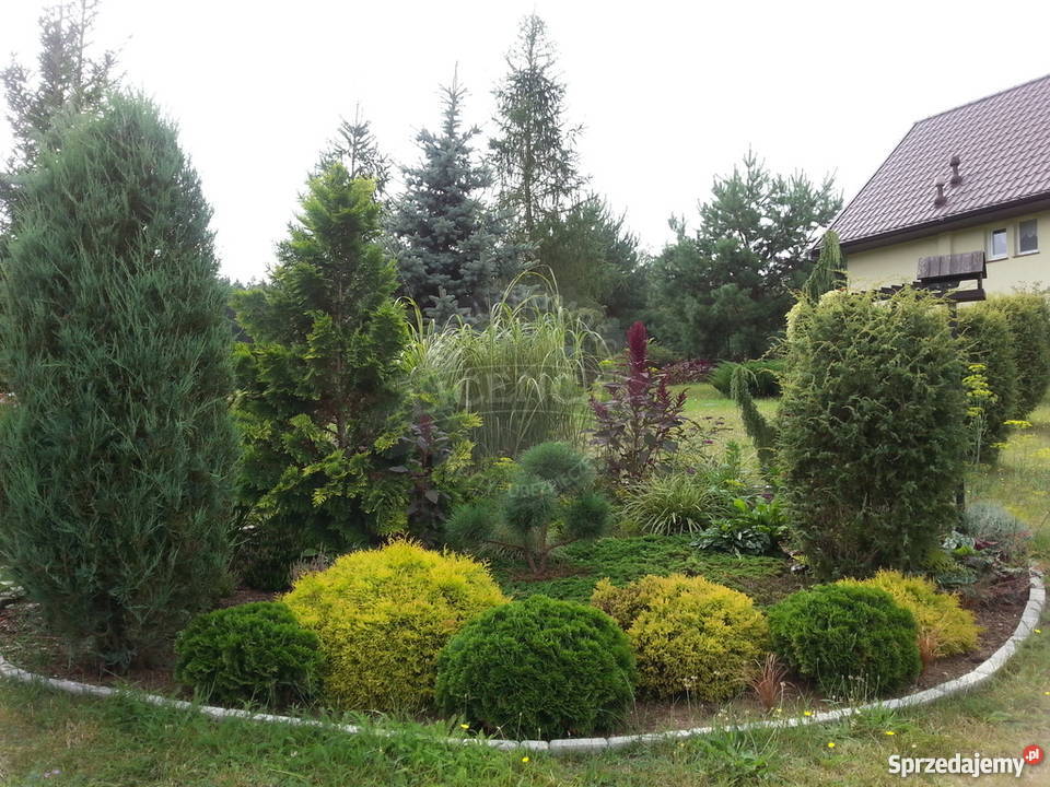 Sprzedaż domu wolnostojącego 72m2 Moczydło