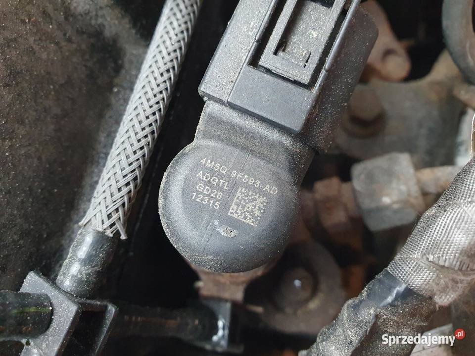 SILNIK KOMPLETNY Ford Tourneo Connect 18 TDCI Rudka