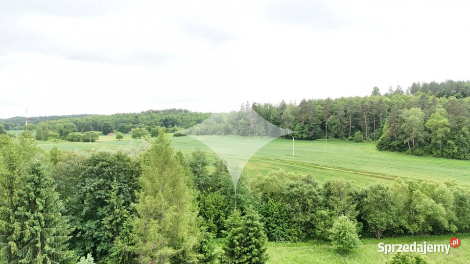 piękne ranczo z łąką i lasem pod HoryńcemZdrojem Dziewięcierz
