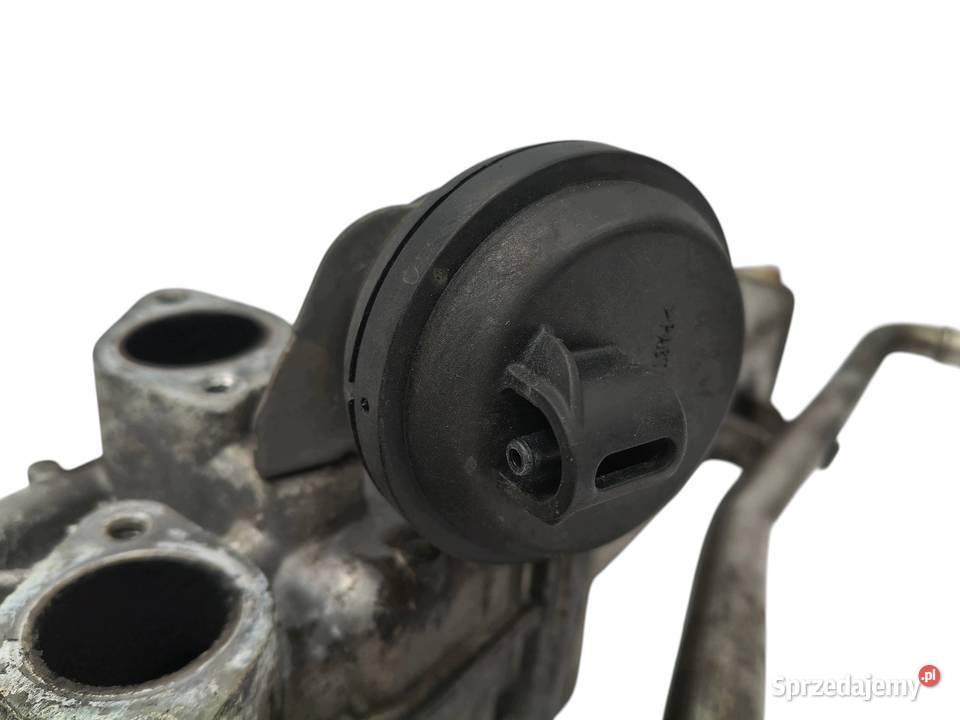CHŁODNICA EGR ZAWÓR VW Audi A3 8P Passat Seat lubelskie Chełm