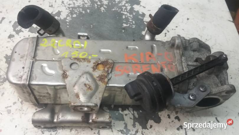 Chłodnica spalin Hyundai 22 CRDI 28416 2f140 świętokrzyskie sprzedam