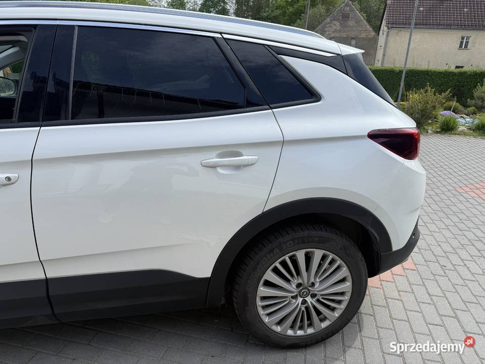 Opel Grandland X dolnośląskie Ziębice