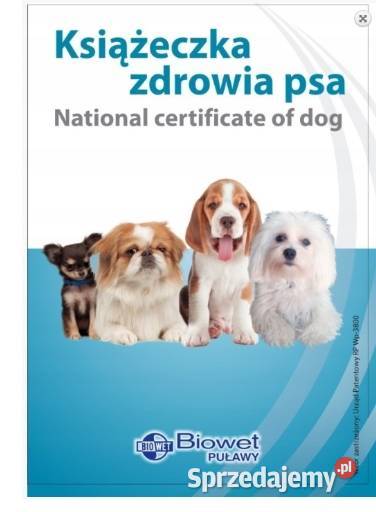 Książeczka Zdrowia Psa małej rasy mix ras Nowa lubuskie Lubsko