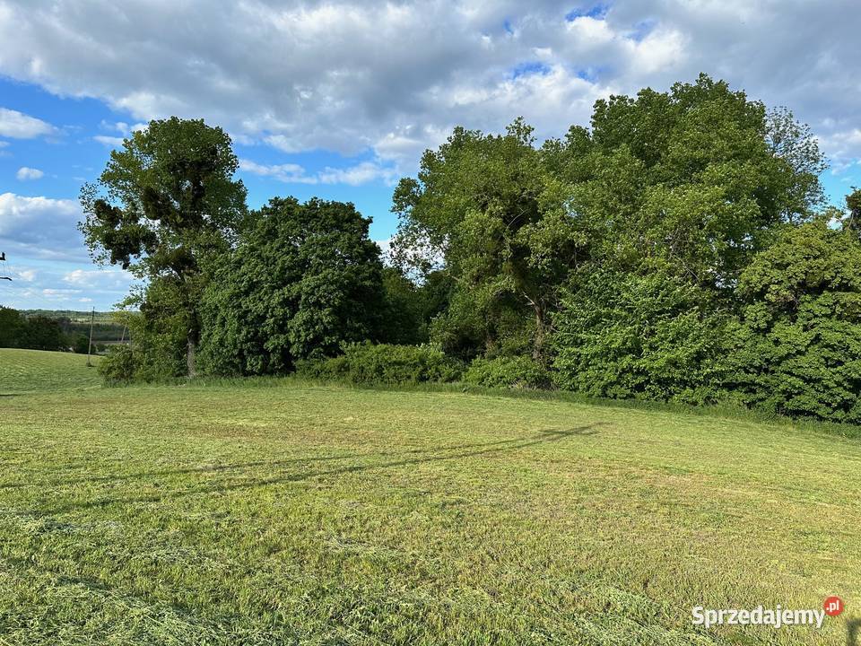 Działka Gołębowo Maniewo Gołaszyn Oborniki z sprzedam