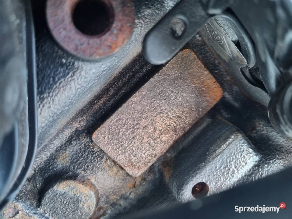 SILNIK BEZ OSPRZĘTU Renault Scenic III 15 DCI Rudka