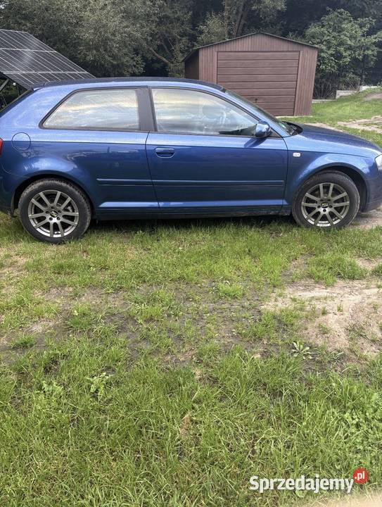 Audi a3 8p 16 mpi manualna warmińsko-mazurskie Boguchwały
