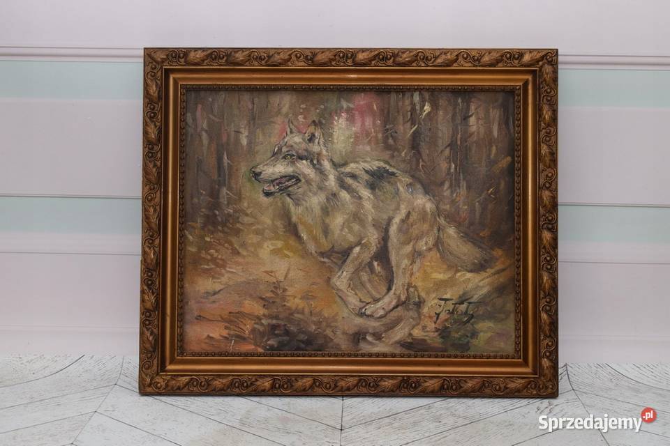 J Fałat Biegnący Wilk Wilczur Natura Polski Kraków