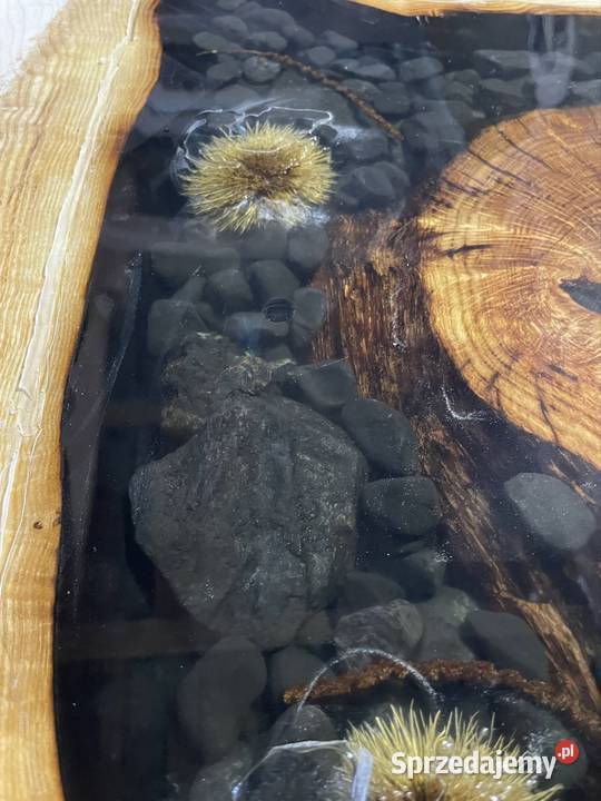 Stół monolit jesion 200 x 104 z żywicą Przysucha sprzedam