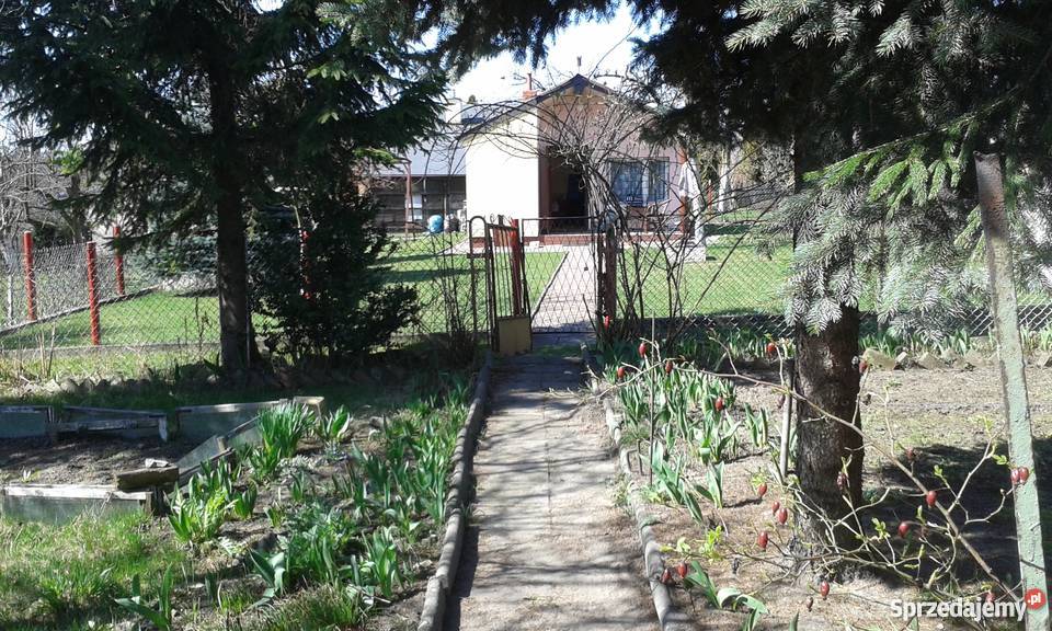 Sprzedam działkę rekreacyjną ROD Górnik w Sosnowiec