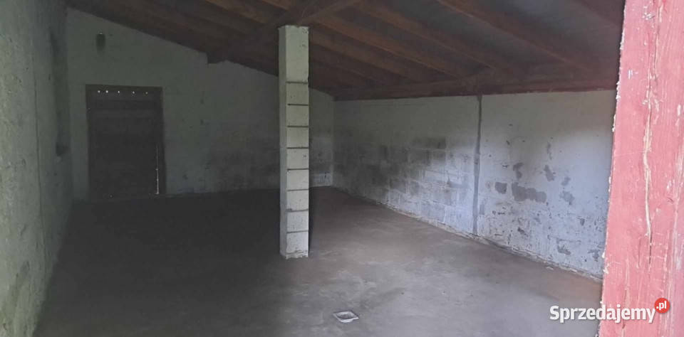 Sprzedam siedlisko 4000 m2 świętokrzyskie Luta