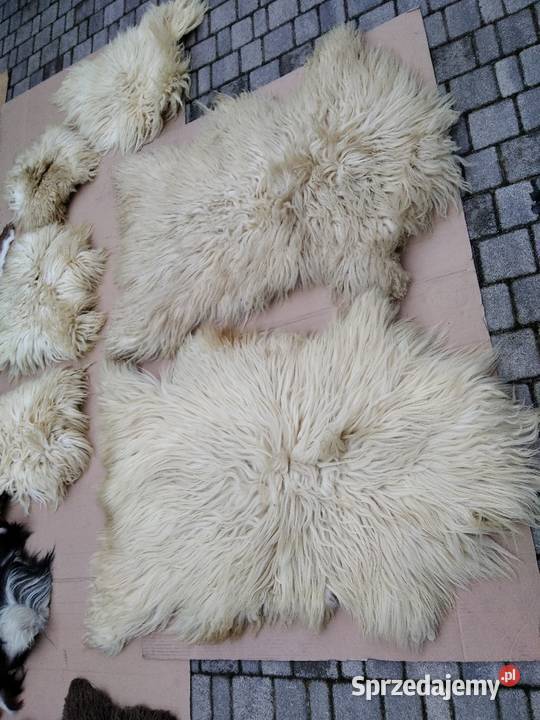 Skóra naturalna dekoracja dywanik chodnik wielkopolskie Gniezno sprzedam