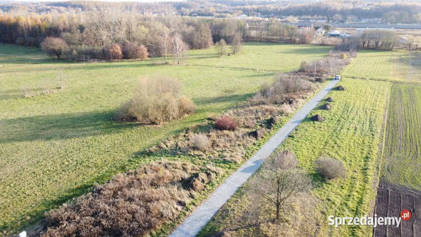 Grunt 2425m2 Krzeczów 2425m2