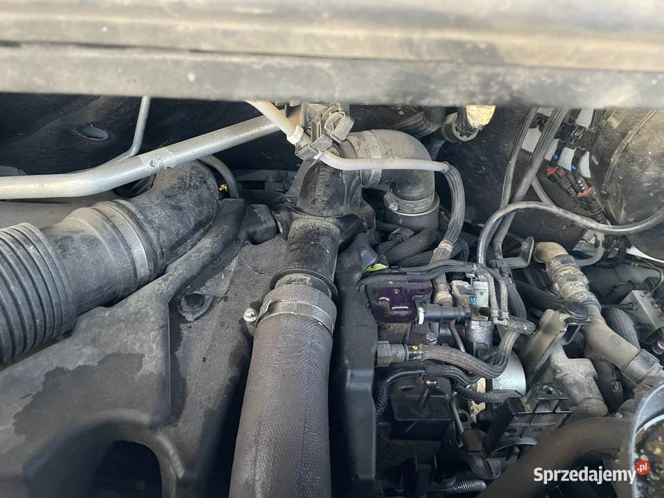 RENAULT Master III 23 DCi 136 Grand Confort F35 Opole