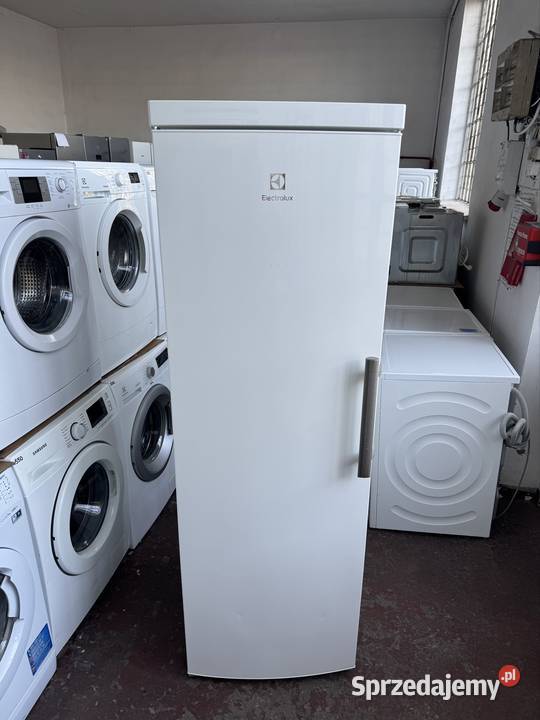 ZAMRAŻARKA Szufladowa Electrolux 180No Frost Lodówki i zamrażarki Warszawa