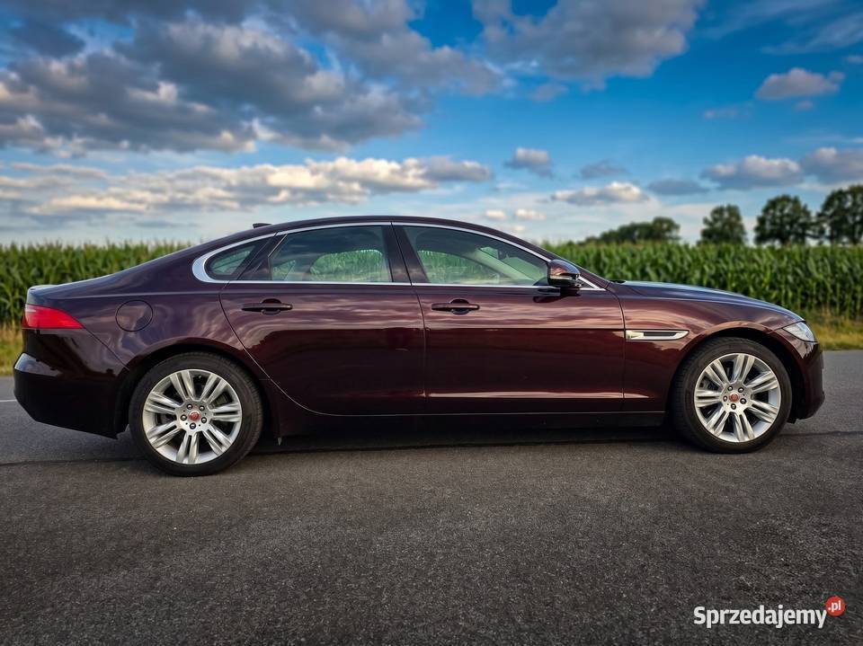 Jaguar XF 20 GTDi Prestige Salon 95 Zjawiskowy benzyna Pleszew