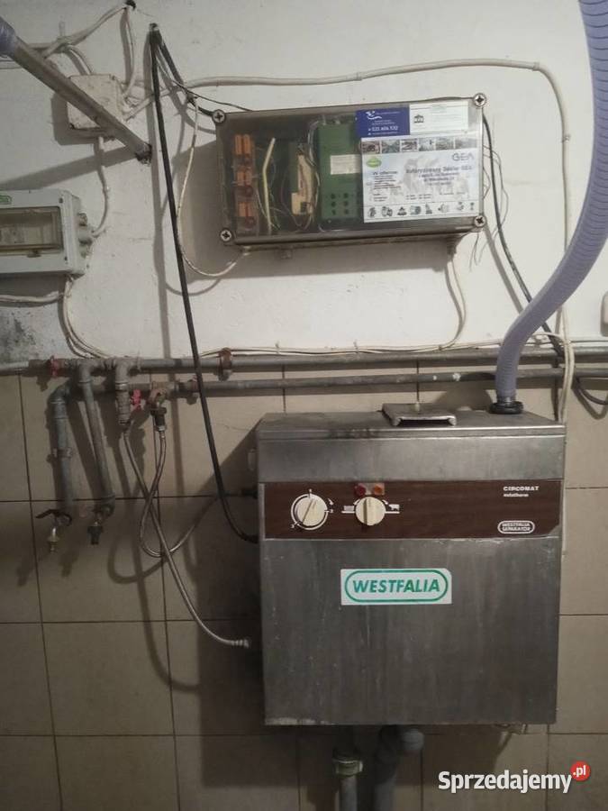 Dojarka Westfalia z hali udojowej podlaskie Grajewo