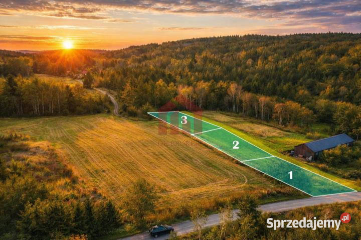 Grunt sprzedam 1300m2 Wielopole Skrzyńskie 25m