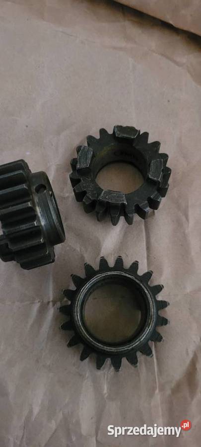 Wsk 175 koło zębate Rypin