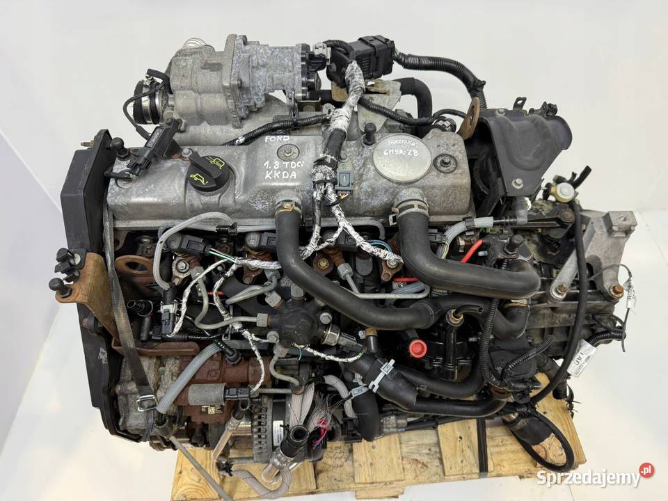 SILNIK KKDA Ford C C Focus II MK2 18 TDCI 115 Chełm sprzedam